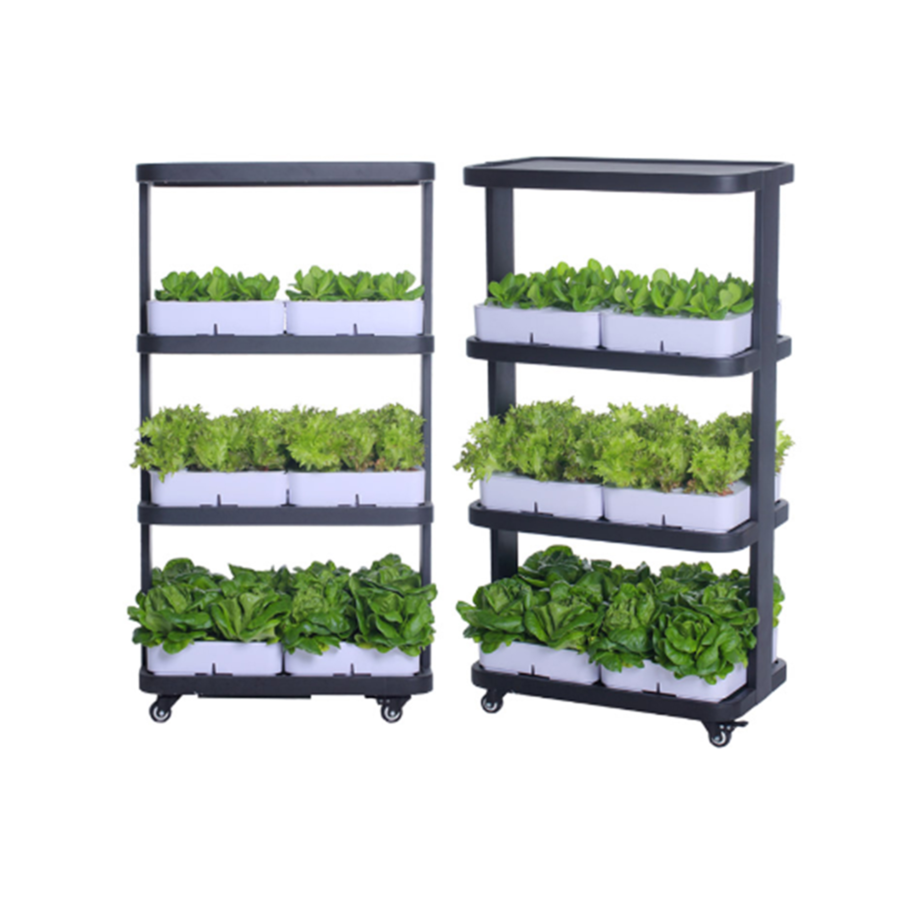Indoor Home Smart Herb Garden  - Aquaponics Home Kit avaliação e preço