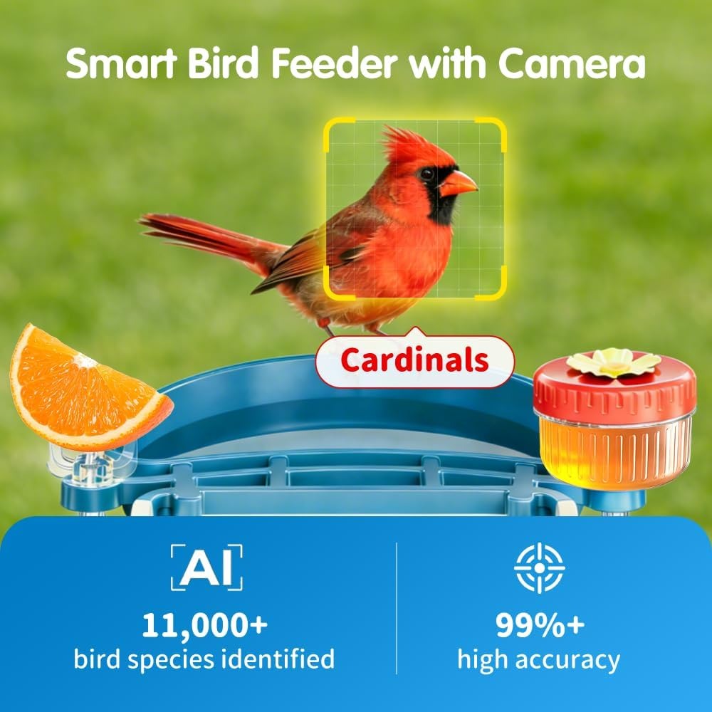 4K UHD AI Bird Feeder Camera,  - Smart Bird Feeder Camera avaliação e preço