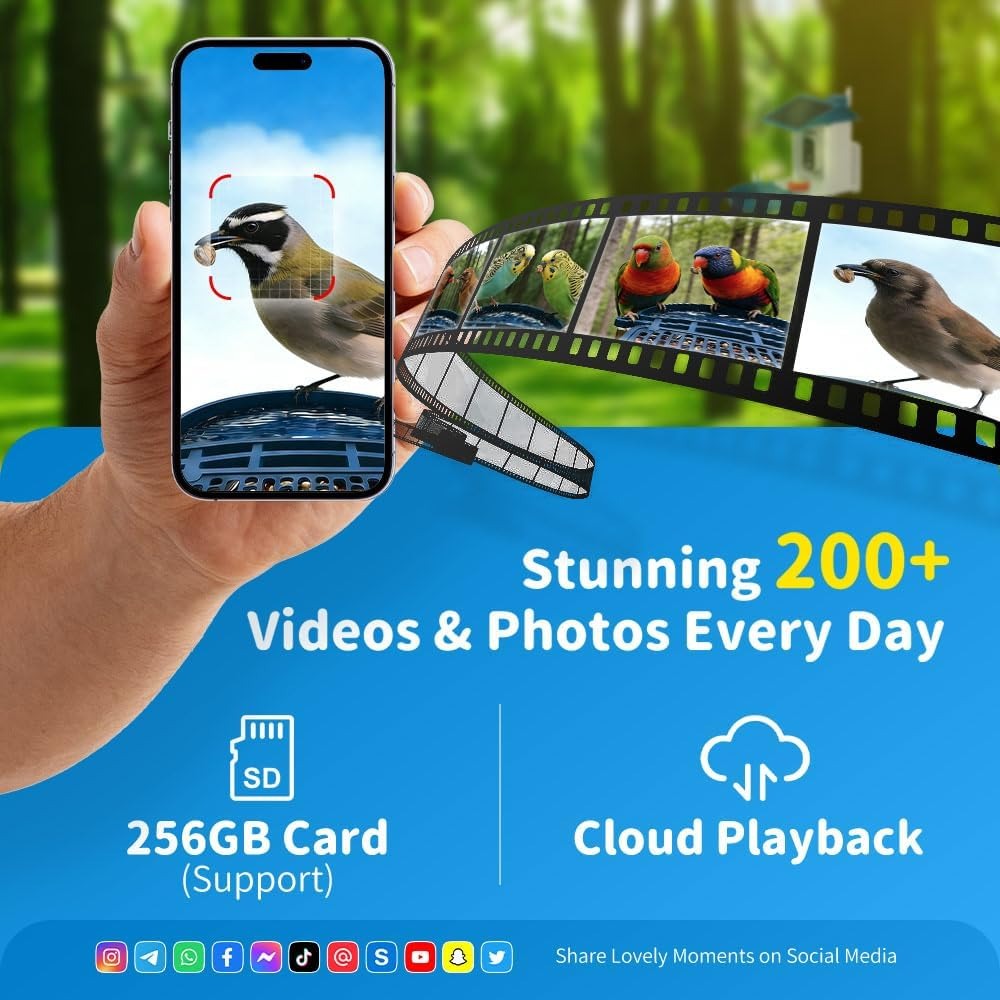 4K UHD AI Bird Feeder Camera,  - Smart Bird Feeder Camera avaliação e preço