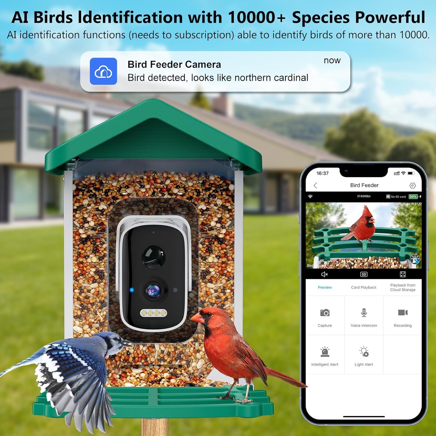 Smart Bird Feeder with Camera, - Smart Bird Feeder Camera avaliação e preço