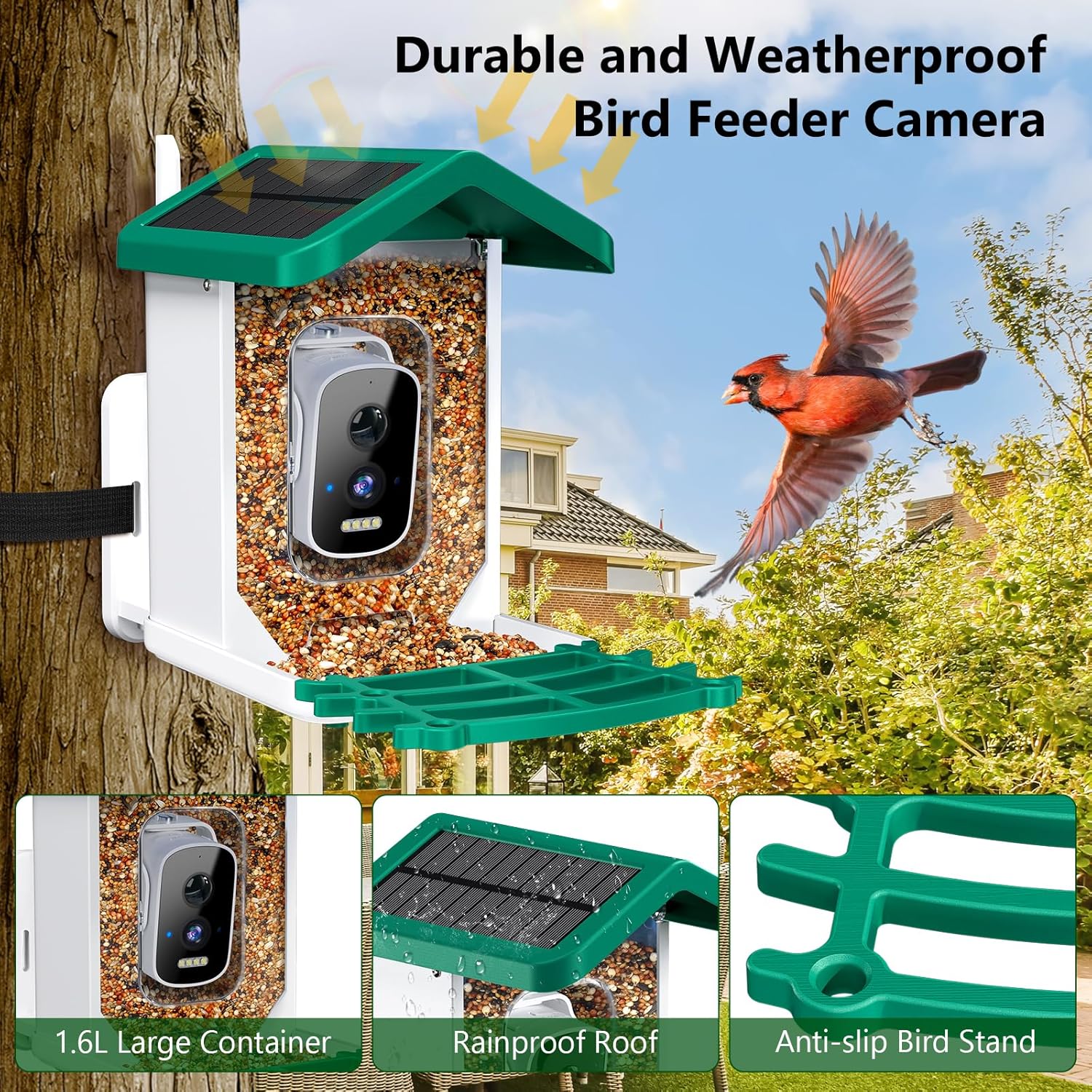 Smart Bird Feeder with Camera, - Smart Bird Feeder Camera avaliação e preço