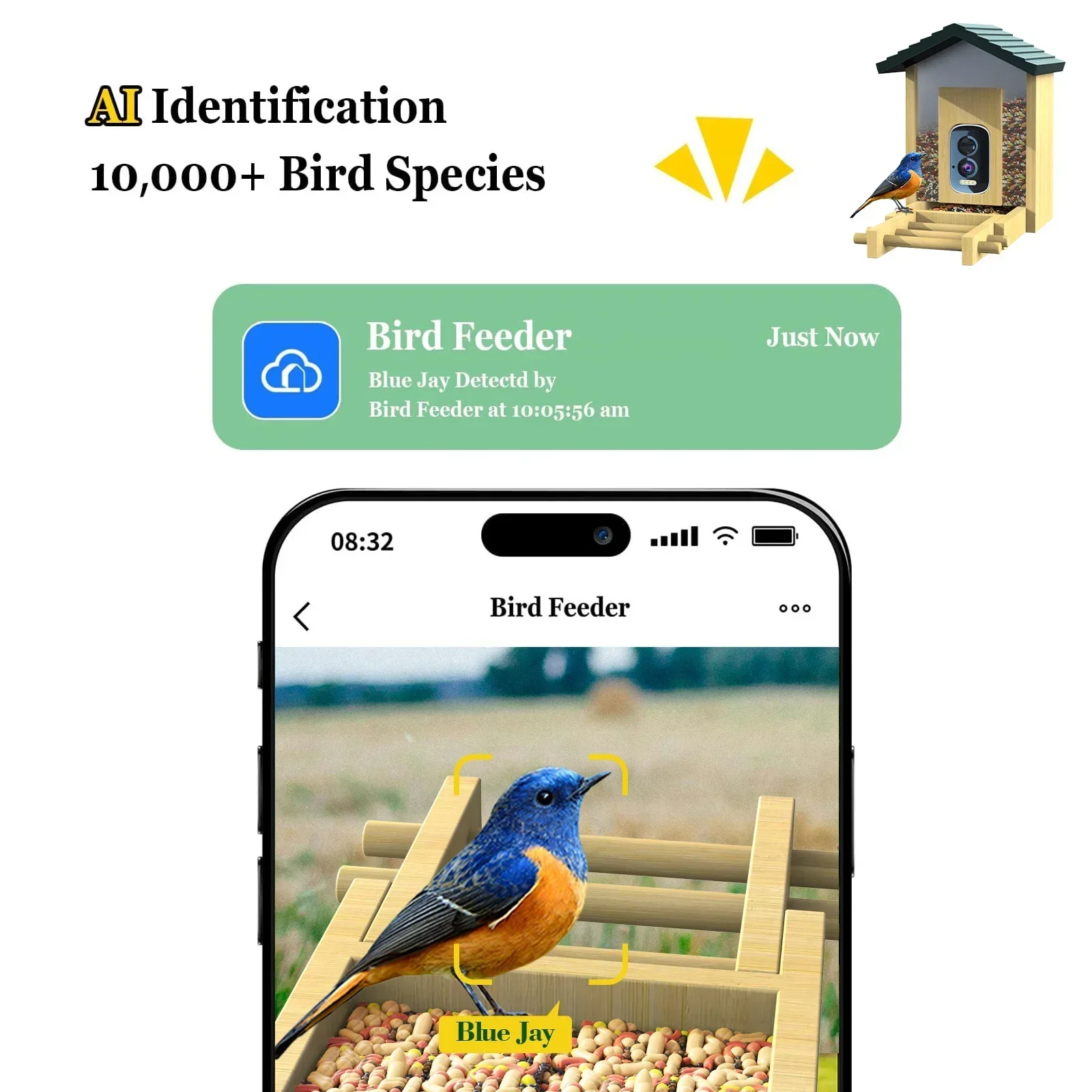 In stock Bamboo with Solar Pow - Smart Bird Feeder Camera avaliação e preço