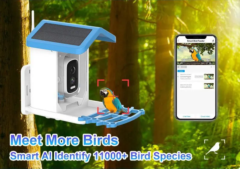 -Smart Bird Feeder with Camera - Smart Bird Feeder Camera avaliação e preço