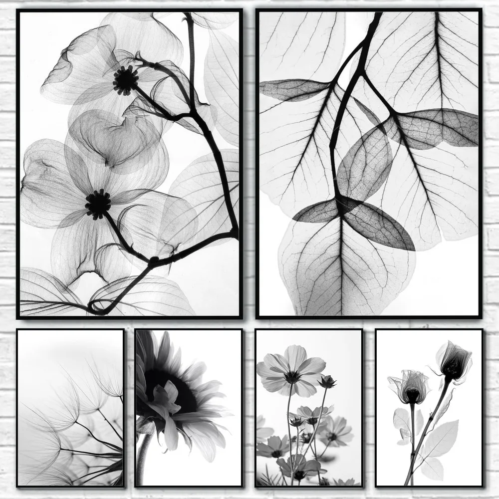 Monochrome Garden Blooms Silen - Smart Garden In Home avaliação e preço
