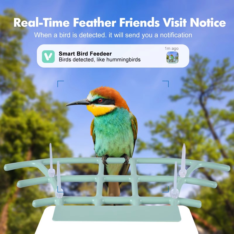 Smart Bird Feeder Night Vision - Smart Bird Feeder Camera avaliação e preço