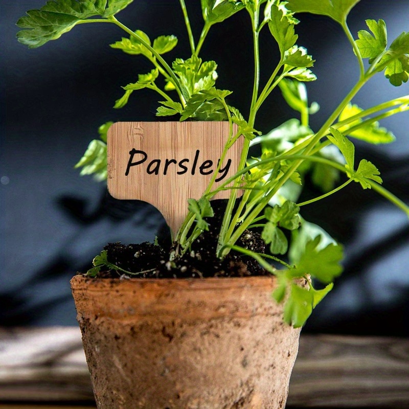 Bamboo Plant Labels, T-Type Wo - Garden Journal Planner avaliação e preço