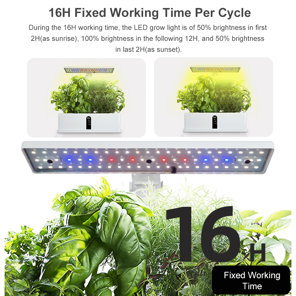 Smart Hydroponics Growing Syst - Smart Pod Garden avaliação e preço