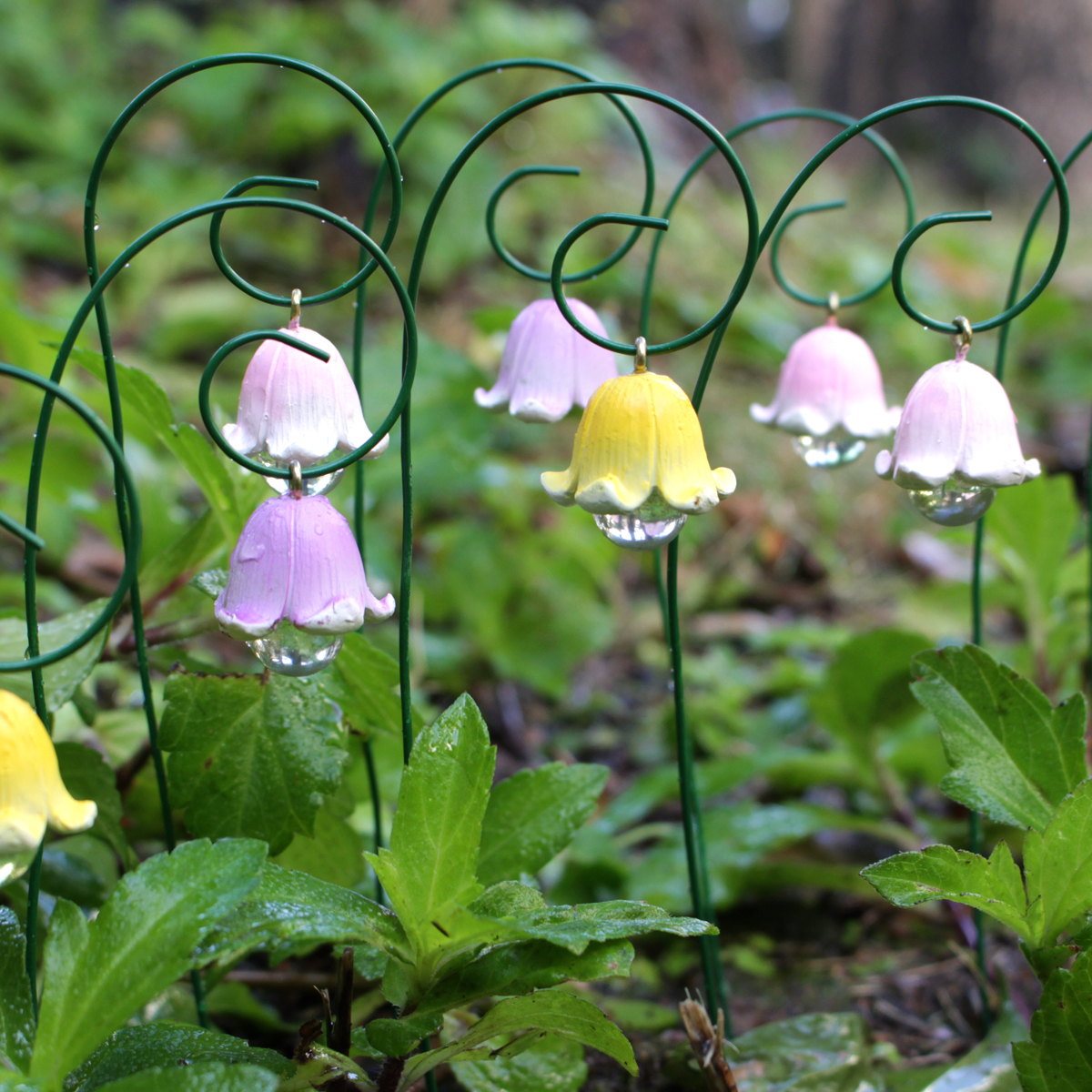 9pcs,Lily Of The Valley That W - Smart Garden Mini avaliação e preço
