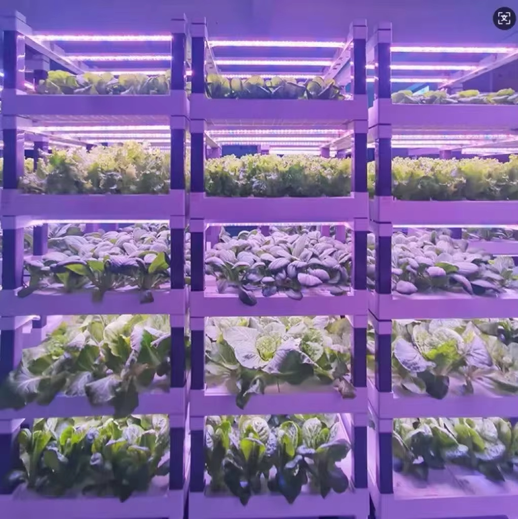 Hydroponic Grow System Greenho - Smart Garden In Home avaliação e preço